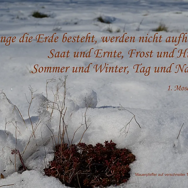 Schaukastenbild 2 2023