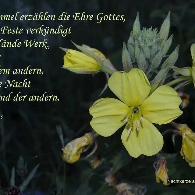 Schaukastenbild 2024