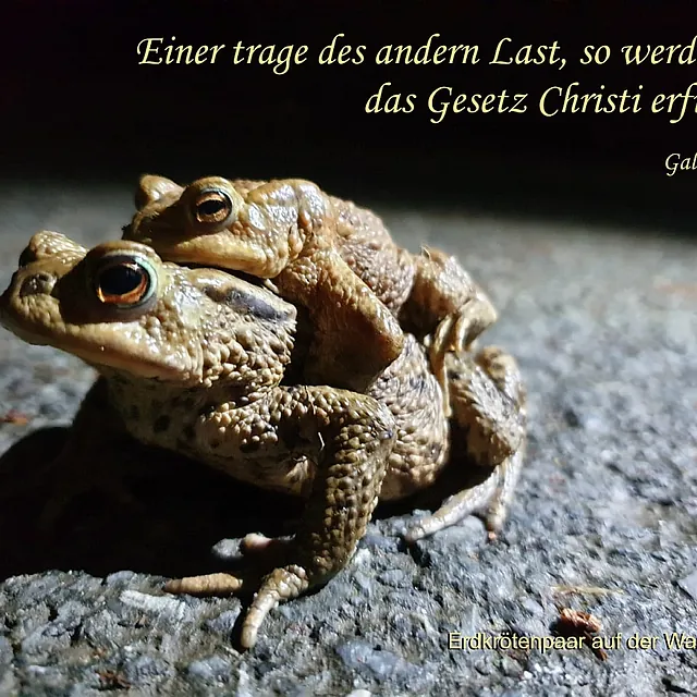Schaukastenbild 2020