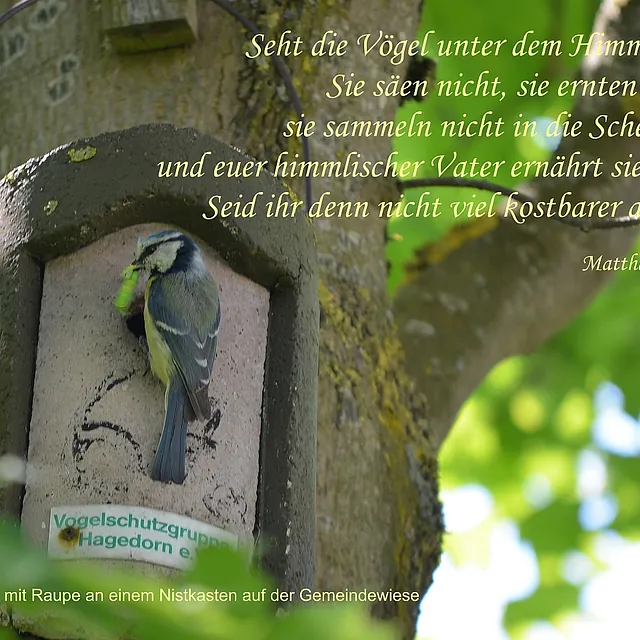 Schaukastenbild 2021