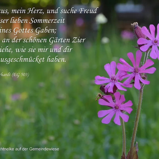 Schaukastenbild 2015